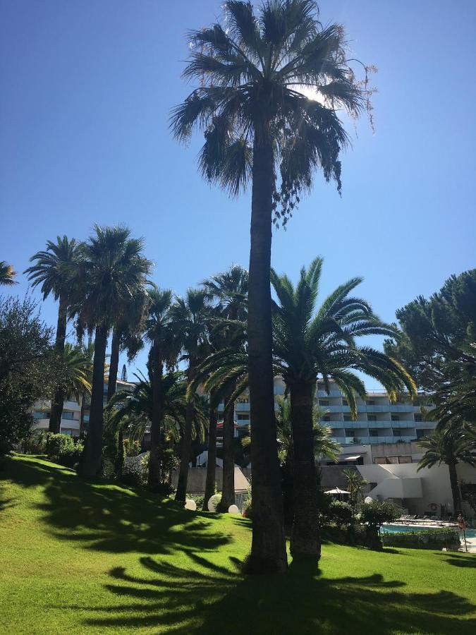 Apartamento Tres Beau T2 Dans Parc Montfleury ,Proche Centre ,Au Calme 44 Bd Montfleury Cannes Exterior foto