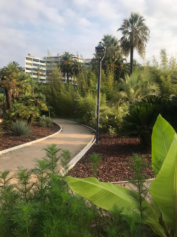 Apartamento Tres Beau T2 Dans Parc Montfleury ,Proche Centre ,Au Calme 44 Bd Montfleury Cannes Exterior foto